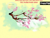 QUYỀN TÁC GIẢ ĐỐI VỚI TÁC PHẨM PHÁI SINH